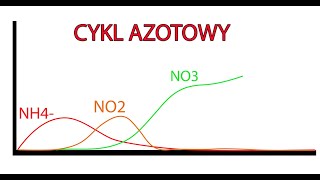 Dojrzewanie Akwarium  CYKL AZOTOWY w KREWETKARIUM  jakie bakterie kupić [upl. by Naor732]