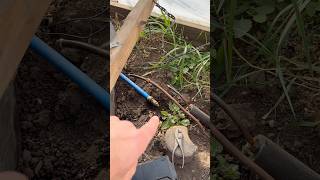 Winter Prep  DIY Greenhouse Heater Work shorts earthdwellershomestead [upl. by Inalak]