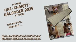 Guten Morgen und ein schönes Wochenende ❤️🐾 schon unseren neuen Kalender HAR 2025 bestellt 🛒🛍️😊 [upl. by Elleron]