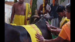 Sri Dattatreya Charitham Pravachanam  Vachaspati [upl. by Kasper382]