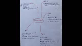 What Is Trimethoprim  Its Use  Imp Points About Trimethoprim In 3 Mins  Quick Revision  USMLE [upl. by Ellened]