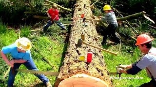 Felling Trees With Crosscut Saws  Wranglerstar [upl. by Domenico]