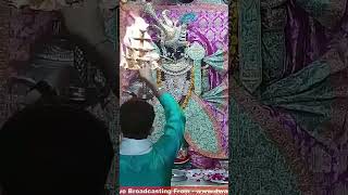 द्वारिकाधीश के संध्या आरती के दर्शनjaydwarkadhishyoutubeyoutubeshorts [upl. by Bravar]