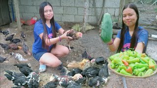 Nanghuli Ng Native Chicken  Native Tinolang Manok amp Fresh Vegetables [upl. by Maeve851]