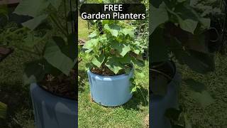 Free Garden Planters  Tips and Tricks garden gardening [upl. by Atniuqal]