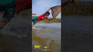 😱Amazing Polo Fishing In Riverside Bill 😲part11fish trending shorts [upl. by Gurias]