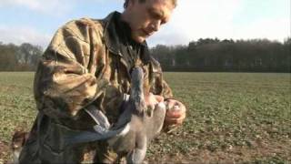 How to be a Pigeon Shooting Expert with James Marchington [upl. by Atinaw]