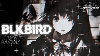 ℒund  Blkbird ✦TraduçãoLyrics✦ [upl. by Anirpas]