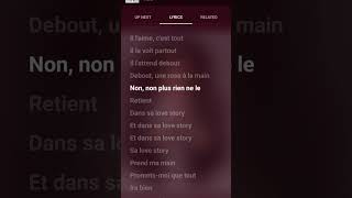 Love Story  indila  Song lyrics indila song music singer [upl. by Liebermann844]