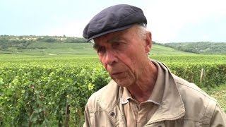 Vin lhéritier du RomanéeConti un héraut discret [upl. by Redneval296]