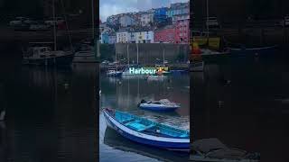 Brixham Harbour viewyoutubeshortsyoutubeshortsharbourpopularuklondonholiday [upl. by Nerine]