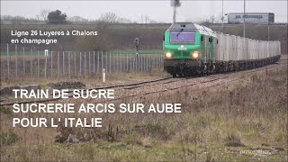 TRAIN DE SUCRE  ARCIS SUR AUBE  MAILLY LE CAMP VATRY 14 DEC 2023 [upl. by Asinla]