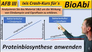 Proteinbiosynthese – Anwendungsaufgaben 1b – AFB III  Lösungsvorschlag  BioIxi  BioAbi  Best of [upl. by Philomena]