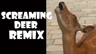 Screaming Deer  Remix Compilation [upl. by Eenaj]