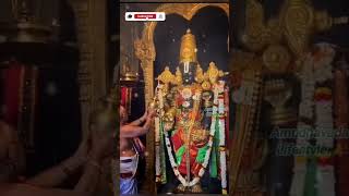 tirumala song  Srinivasa Govinda Sri venkatesa Govinda  tirupati song  shortfeed tirumalasong [upl. by Nnairam548]