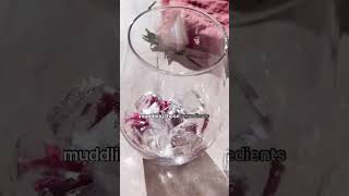 Recipe Cranberry Mocktail [upl. by Rivi]