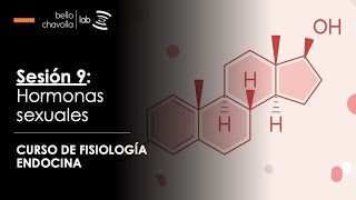 Fisiología de las hormonas sexuales [upl. by Edmanda]