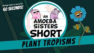 Plant Tropisms Amoeba Sisters Shorts [upl. by Garlaand]