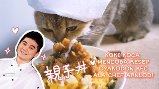 Video Kucing Lucu OYAKODON KFC ALA CHEF ARNOLD  Koki Koca  Resep Enak dan simple [upl. by Huberto]