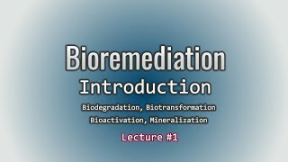 Introduction to Bioremediation  Biotransformation Biomineralization  Olipin Academy [upl. by Lednyk]