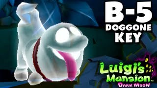 Luigis Mansion Dark Moon  Haunted Towers  B5 Doggone Key Nintendo 3DS Gameplay Walkthrough [upl. by Poole]