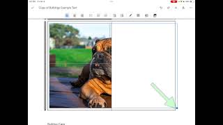 Google Docs iPad Adding Images SD 480p [upl. by Ashjian]