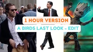 A Birds Last Look Jersey remix 1 Hour Dance edit [upl. by Lela]