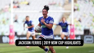 Jackson Ferris  2019  NSW Cup Highlights [upl. by Iruyas]