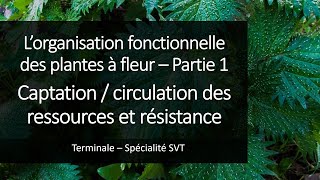 Cours Spé SVT Terminale  Organisation des plantes 1  Ressources et résistances [upl. by Shaylah303]