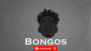 Free Freestyle type beat quotBongosquot Rap instrumental  Hip Hop beats 2023 [upl. by Beller889]