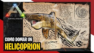 🦕 ARK  Cómo domar tamear un HELICOPRION  2022 [upl. by Friday]