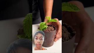 Cake maker youtubeshorts chocolate icecream cake recipe subscribe youtubeshorts viralvideo [upl. by Yromas]