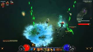 Diablo 3 Witch Doctor Pet build T6 endgame [upl. by Bury964]