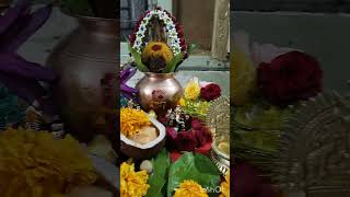 Laxmi pujan [upl. by Akehs]