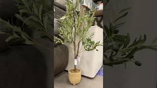 Árbol de olivo para decorar tu casa en coppel hogarcoppel 🫒🧺🌳 [upl. by Lora]