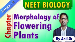 Morphology of flowering plants L8 neetbiology morphologyoffloweringplants [upl. by Assennej66]