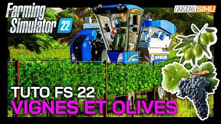 TUTO FARMING SIMULATOR 22  Comment cultiver VIGNES raisins et OLIVES [upl. by Aicekan]