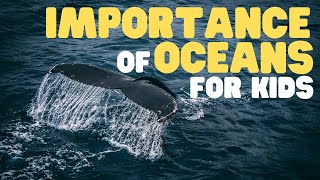 Importance of Oceans for Kids  Learn why Earths oceans are so significant [upl. by Happy270]