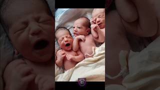 Heartwarming Moments of Cute Triplet Newborn Babies AfterBirth [upl. by Tolkan790]