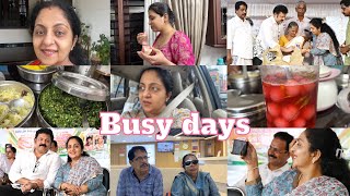 Busy Days  Sindhu Krishna [upl. by Notloc]