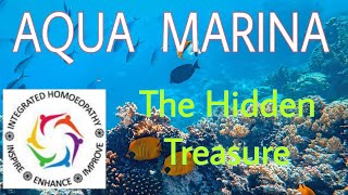 Aqua Marina The hidden treasure [upl. by Quartis832]