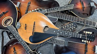 Explore the Mandolin Family Mandola Octave Mandolin Mandocello Tenor Guitar Bouzouki Etc [upl. by Diet]