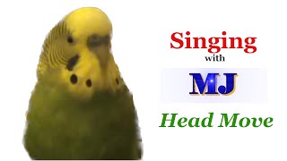 Green Bob the budgie singing with MJs move [upl. by Ymma]