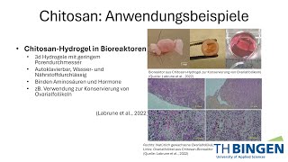 Biomaterialien im Tissue Engineering Chitosan und Keratin [upl. by Inavoy]