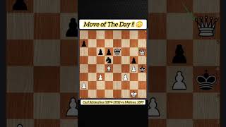 Move of The Day  😳  Carl Schlechter 18741918 vs Meitner 1899 chess puzzle shorts [upl. by William899]