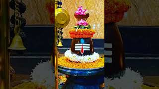 song music youtubeshorts mahadev  omnamahshivayomnamahshivay [upl. by Aret]