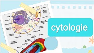 La cytologie  نصائح و مصادر سنة اولى طب 💙 [upl. by Roxi]