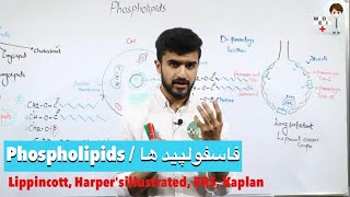 Phospholipids فاسفولپید ها Biochemistry 13 [upl. by Massimiliano866]