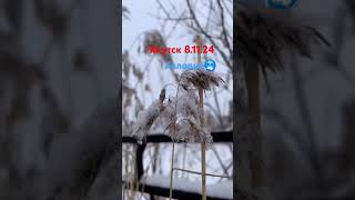 якутск городароссии холод топ якутия cold yakutsk live short subscribe подписка [upl. by Kila534]