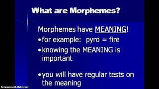 Introduction to Morphemes [upl. by Enogitna375]